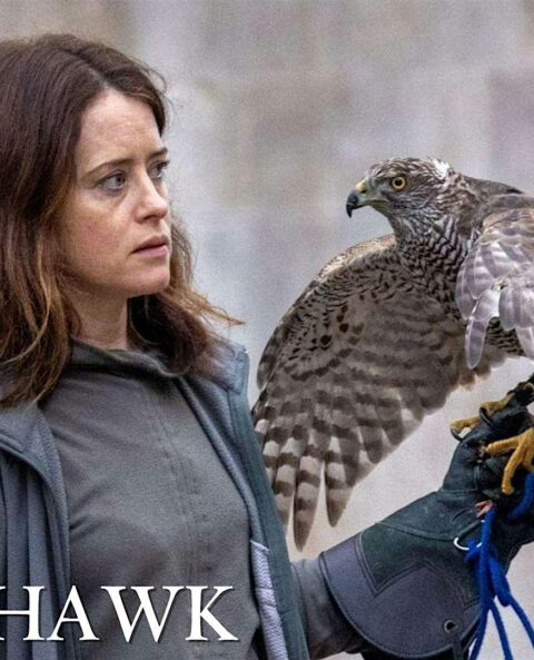 Quinte Film Alternative – H Is For Hawk  7pm